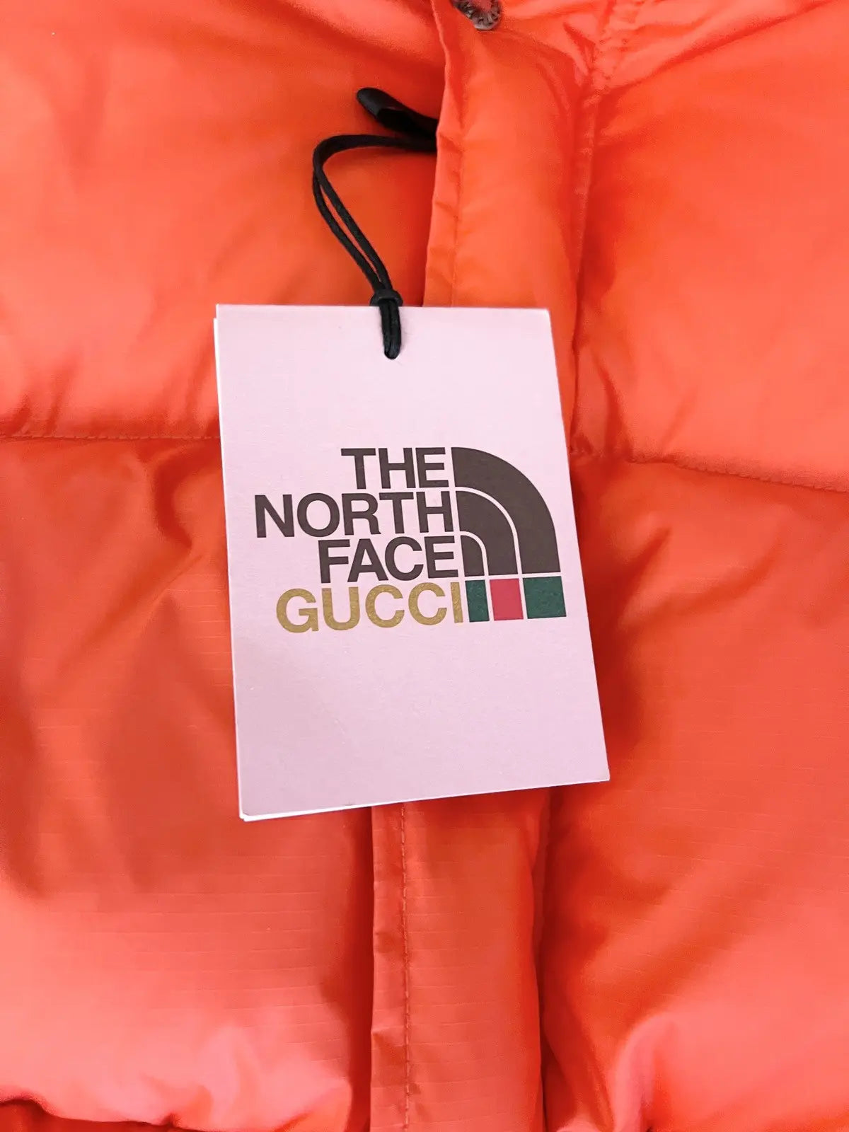 2021 Gucci x The North Face Puffer Jacket