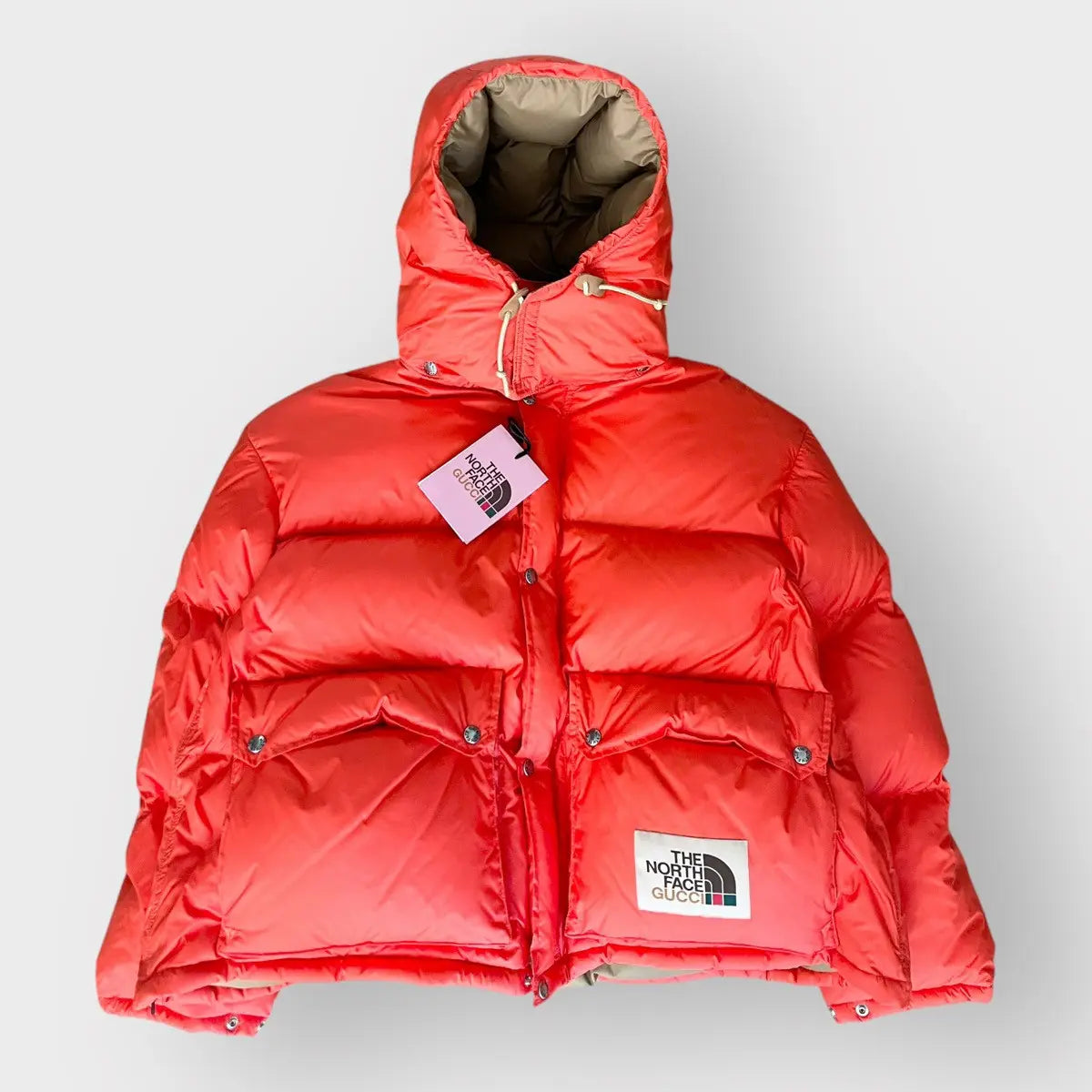 2021 Gucci x The North Face Puffer Jacket