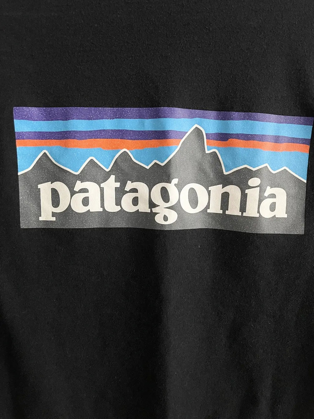 2000s Patagonia Outdoor Logo Tee