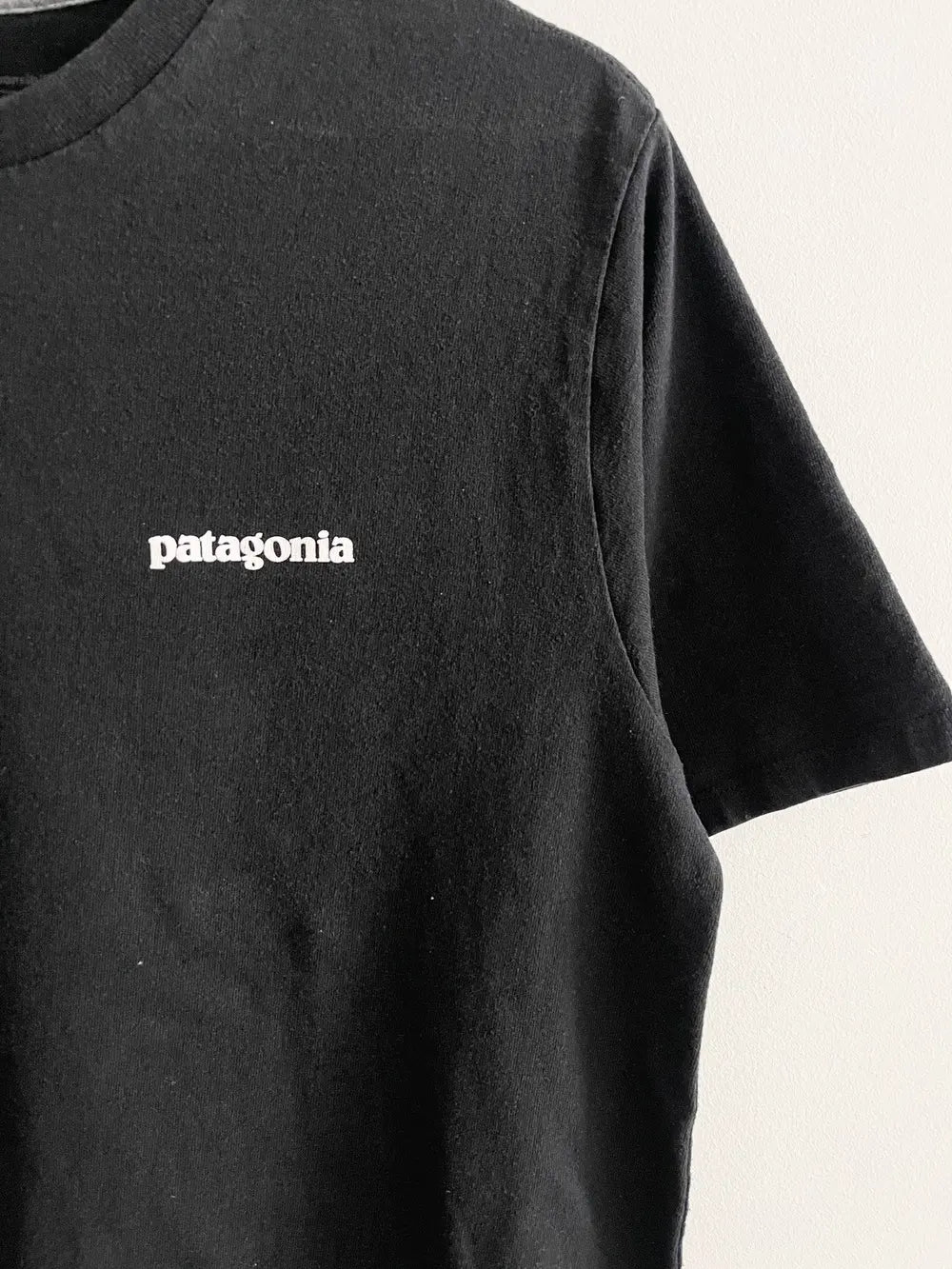 2000s Patagonia Outdoor Logo Tee