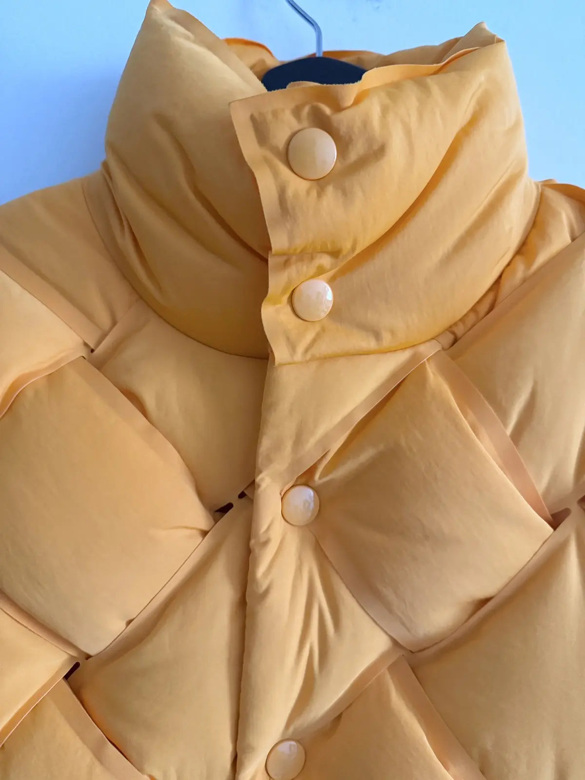 Bottega Veneta Tech Quilted Padded Shell Vest