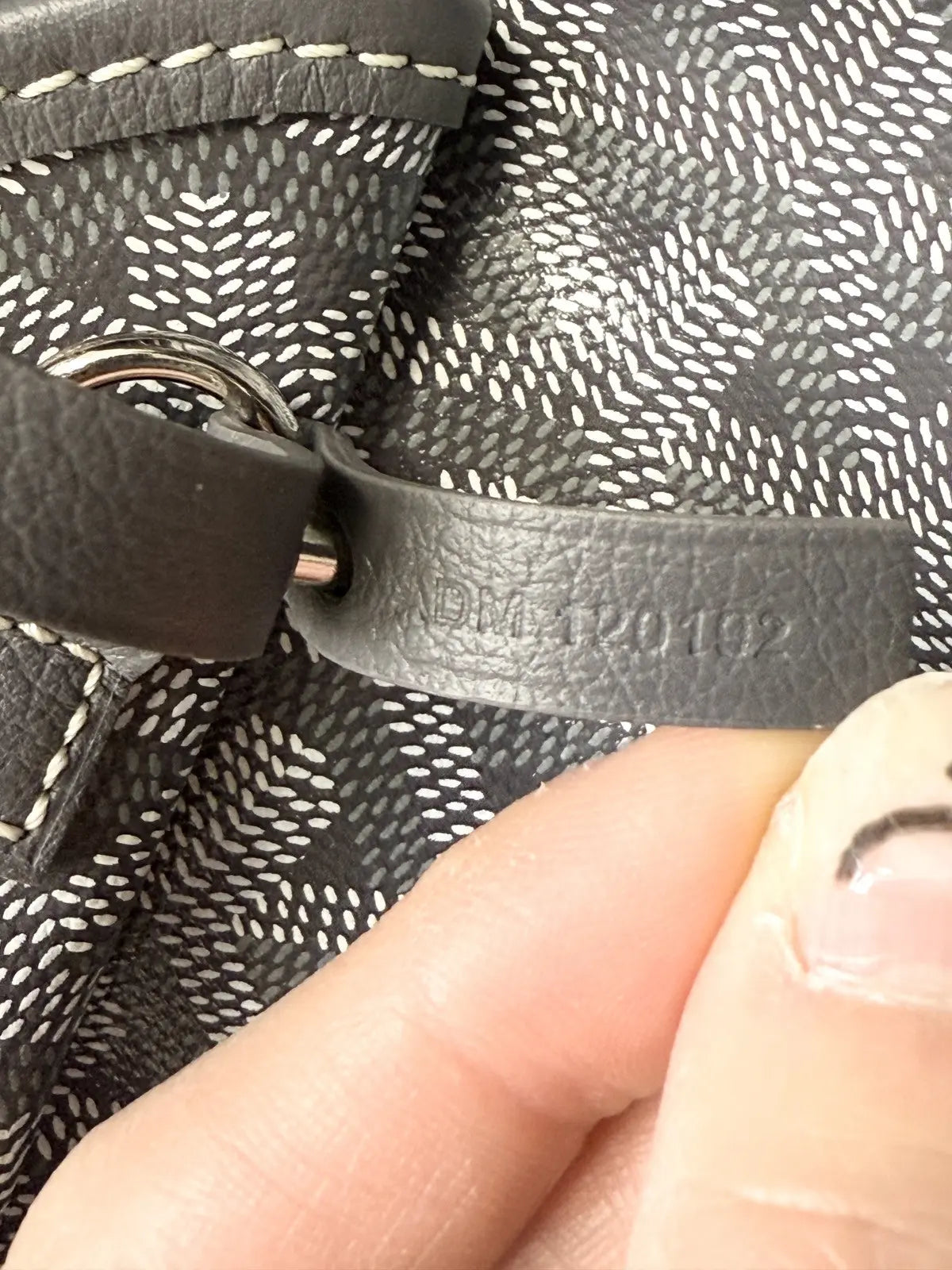 Goyard Goyardine Saint Louis PM Grey