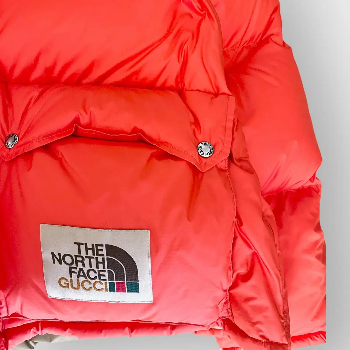 2021 Gucci x The North Face Puffer Jacket