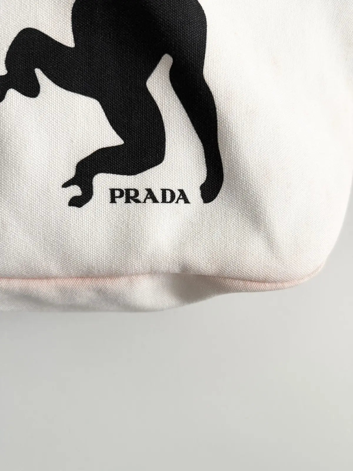 2018 Prada Canapa Monkey-Print Tote Bag