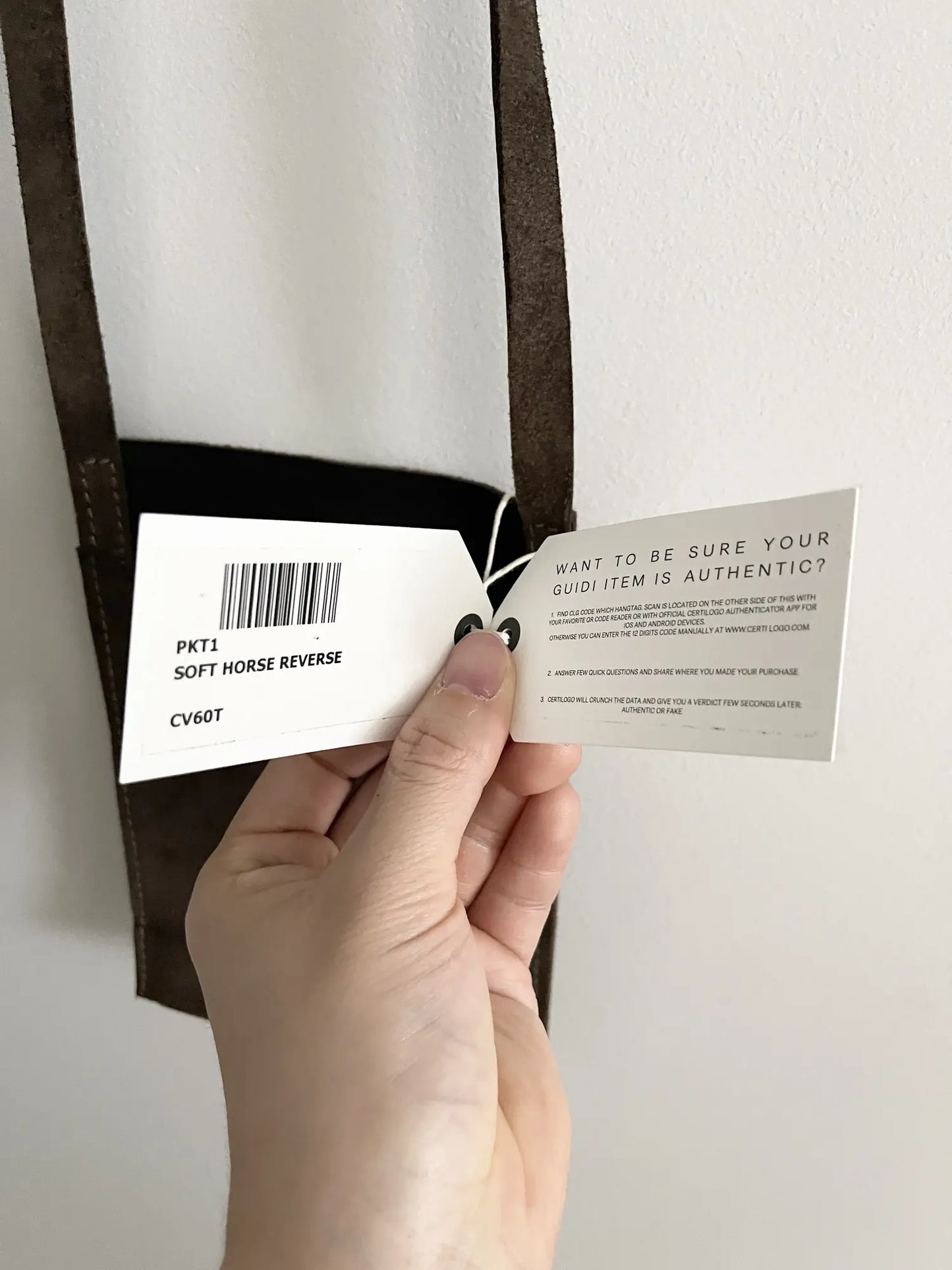 2010s Guidi Horse Leather Passport Bag